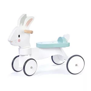 Chariot de Marche Pousseur Bébé en bois Multi Activité Météo Tender Leaf  Toys
